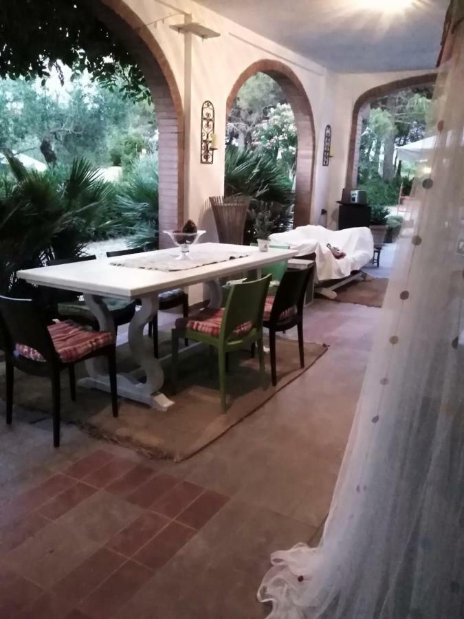 Campo Alle More チェチナ エクステリア 写真